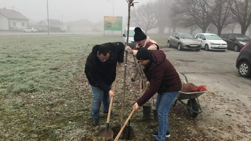 I HAPIH se pridružio sadnji novog drveća, ispred zgrade posadili deset javora
