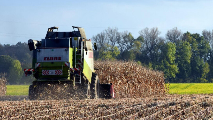 Hrvatska je i dalje protiv uzgoja GM kultura