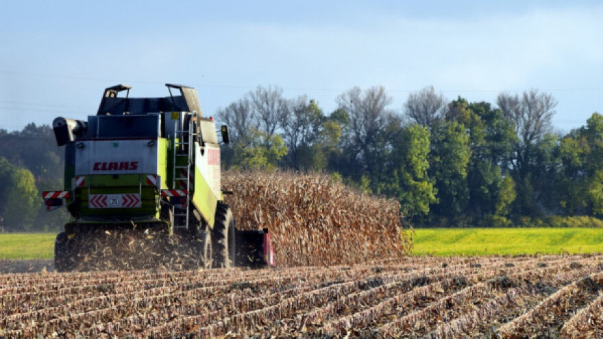 Pregled svetskog tržišta žitarica