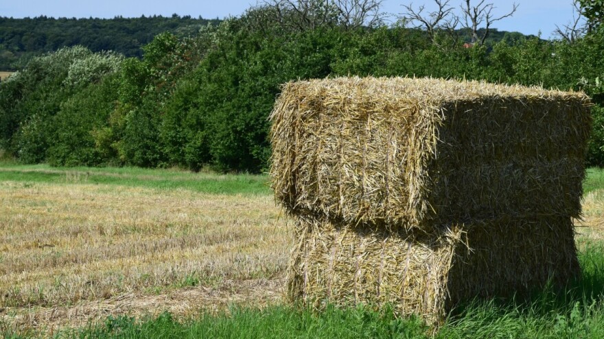 Kraj sedmice neće biti pogodan za vanjske radove - očekujte pljuskove i grmljavinu