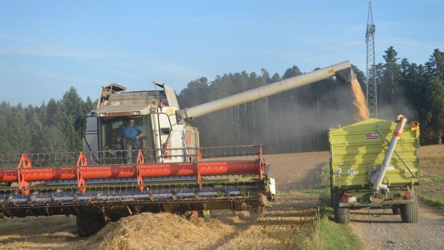 Učestale padaline utjecale na slabiji prinos pšenice u Županiji Posavskoj