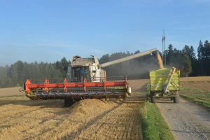 Prosečni troškovi proizvodnje žitarica u EU su 635 evra po hektaru