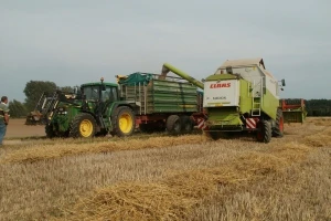 Agroseme doradilo 7.159 tona semenske pšenice