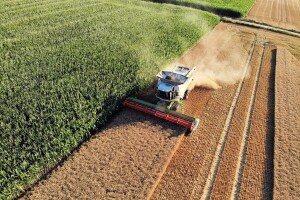 Cijene oranica lani skuplje za gotovo 2.000 kn/ha, renta iznosila prosječno 777 kn/ha