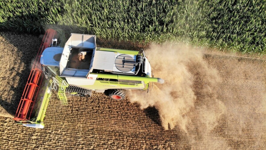 EU do 2030. očekuje rast tržišta žitarica, ali i pad proizvodnje uljarica