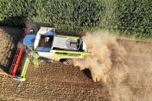 EU do 2030. očekuje rast tržišta žitarica, ali pad proizvodnje uljarica