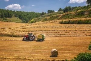 Vrijeme ovu sedmicu stabilno i pogodno za pripremu i početak žetve