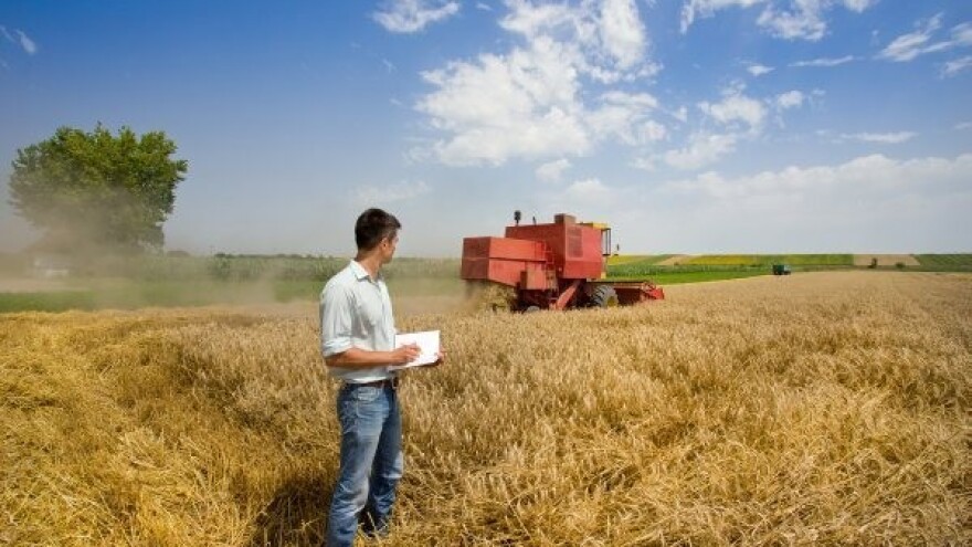 Rastu cijene soje - znači li to loš urod?