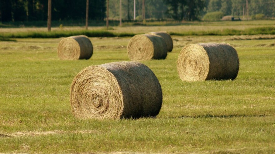 Objavljene izmjene Natječaja za tip operacije 7.4.1.!