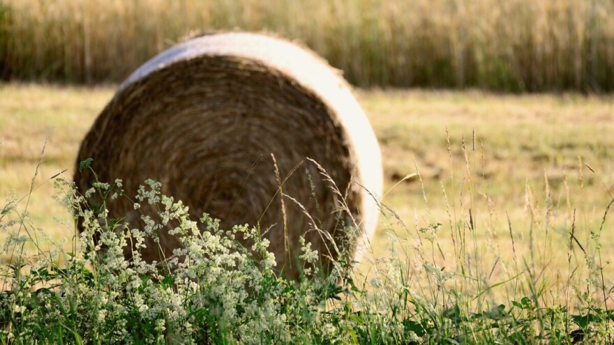 Vijeće donijelo mjere za izvanredne situacije u slučaju Brexita bez dogovora
