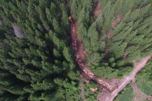 Dobro očuvane šume otvaraju nova radna mjesta