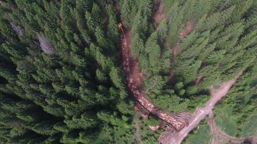 Dobro očuvane šume otvaraju nova radna mjesta