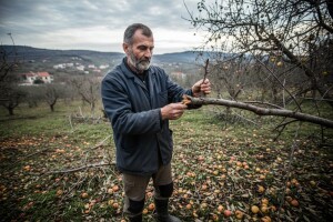 HBOR omogućuje reprograme za poljoprivrednike