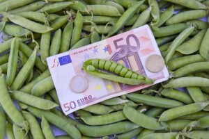 Do 25.000 eura kredita za mikro poduzetnika