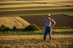 HDZ: Donijeti Zakon o prodaji državne zemlje!