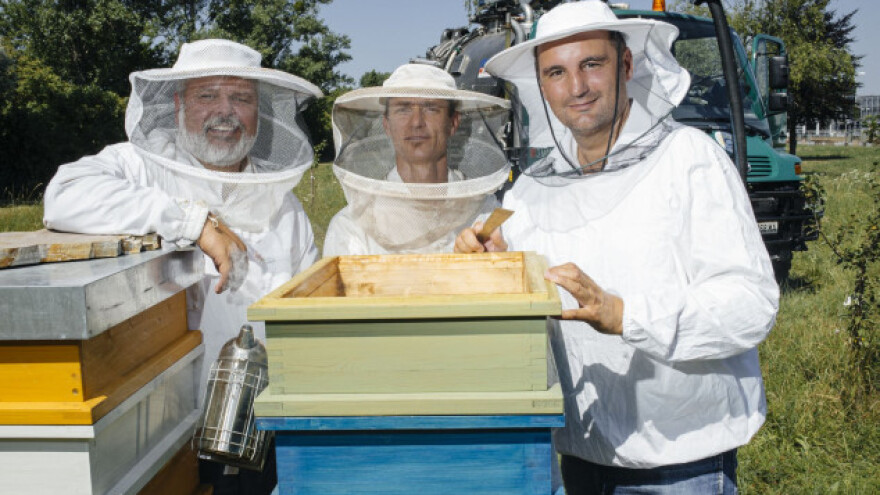 Budi moja kraljica: Usvoji pčelu za svoju najdražu