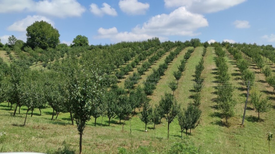 Postoji li ekološka poljoprivreda u Hrvatskoj?