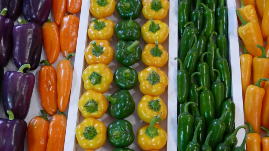 Agrarni novinari jednoglasni: Turska je zemlja neograničenog poljoprivrednog potencijala