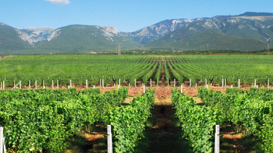 Fond iz Dubaija postaje 100%-ni vlasnik Hepoka?