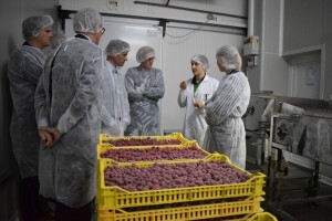 Mirzet Hadžiavdić: Malinari vrijedno rade, očekujemo veću zaštitu države!