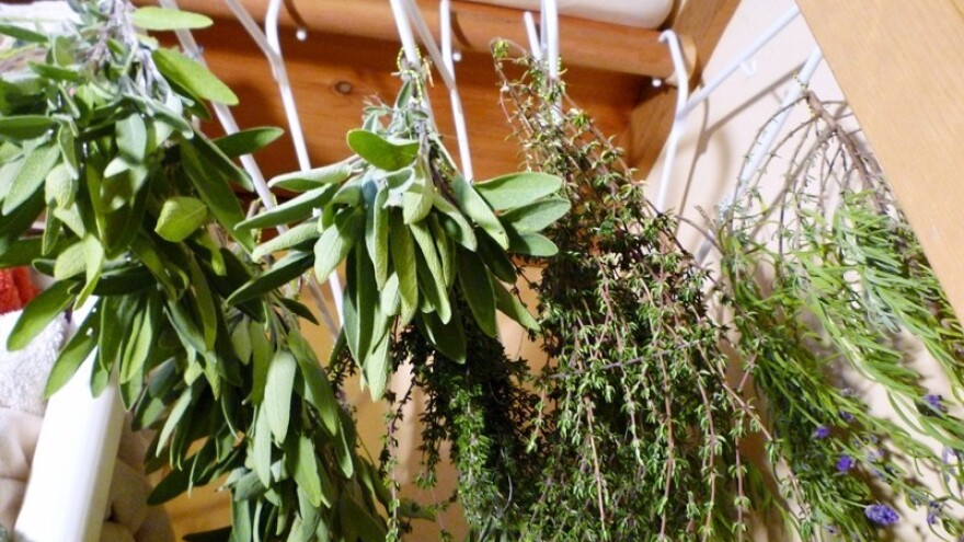 Prirodna kozmetika iz vlastite kuhinje