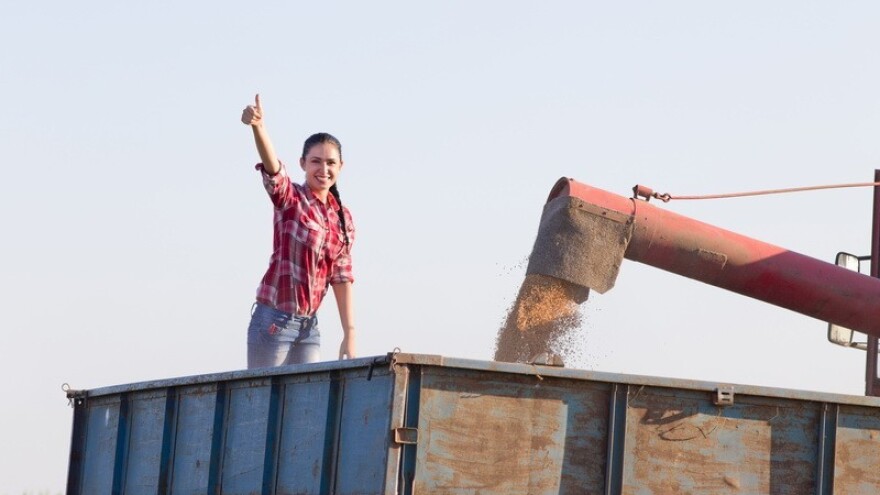 EU prodala pšenicu najvećem svjetskom kupcu!