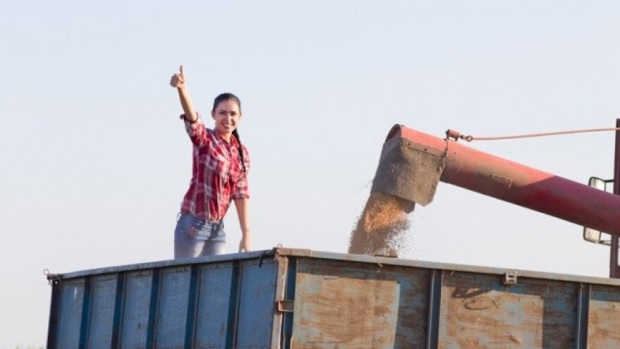 EU prodala pšenicu najvećem svetskom kupcu!