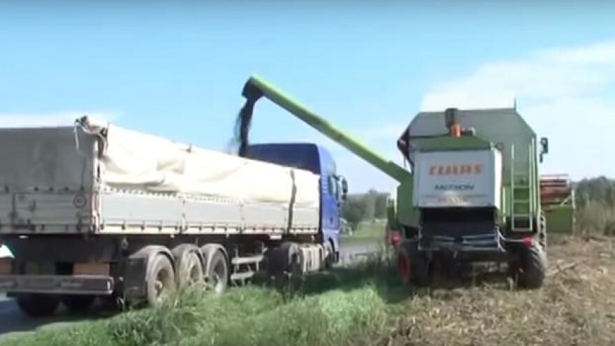 Velike količine uljarica odlaze van granica RH?