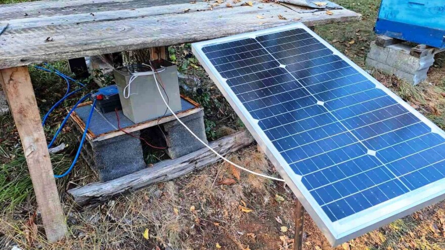 Solarne čobanice čuvaju košnice od medvjeda: "Ne može ući, a da ga dobro ne prodrma"