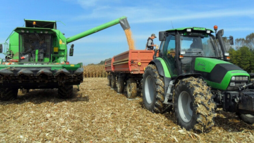 Tri godine zatvora zbog krađe sjemena kukuruza