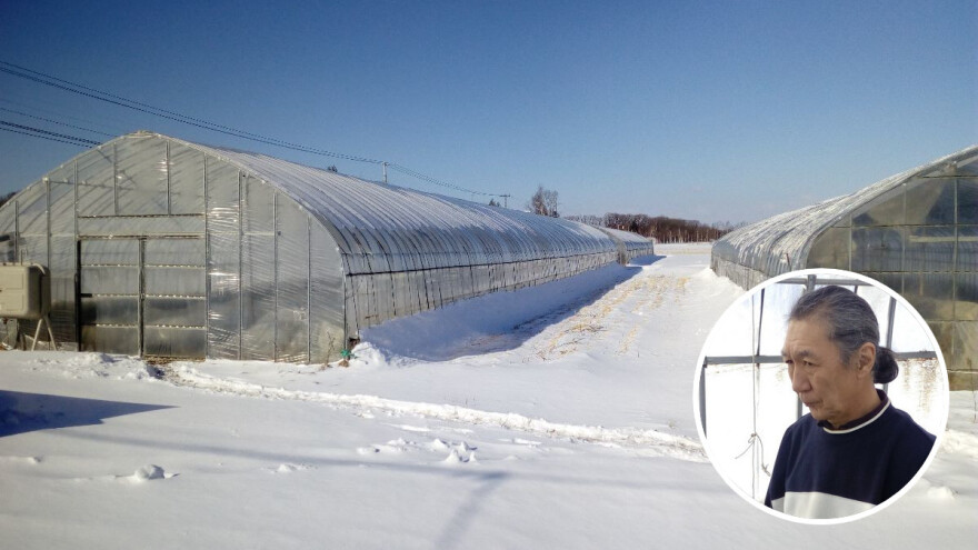 Ne okopavaj, ne rasipaj đubrivo - pusti prirodu da sama odradi posao