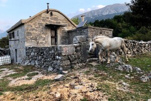 U Sabor poslan konačni prijedlog zakona o članarinama u turističkim zajednicama