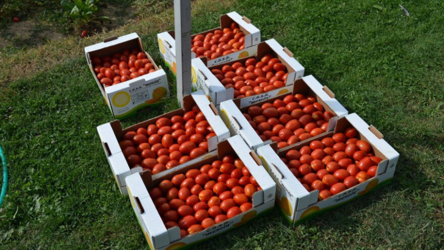 Gradi se moderna hladnjača za domaće proizvođače