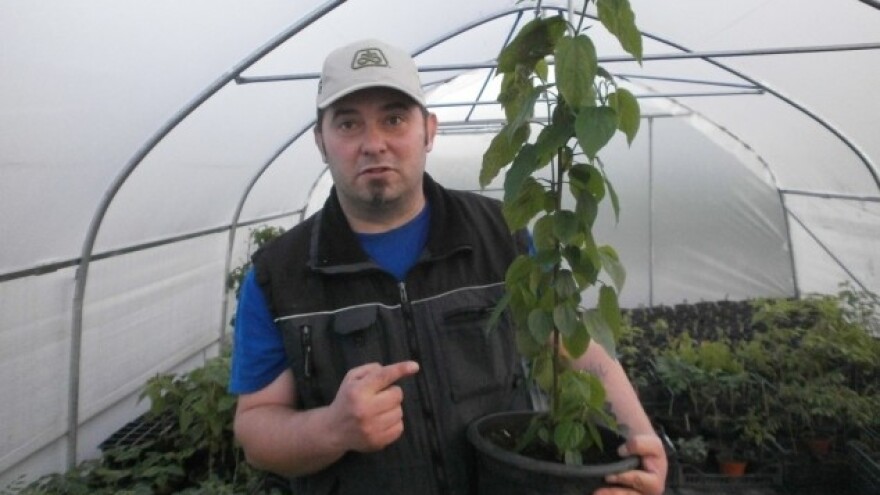 Medonosne biljke na javne površine!