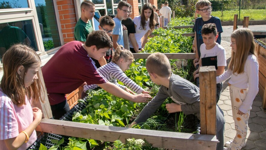 Nastava u vrtu: Biologiju, kemiju i poduzetništvo đaci učili na uzdignutim gredicama