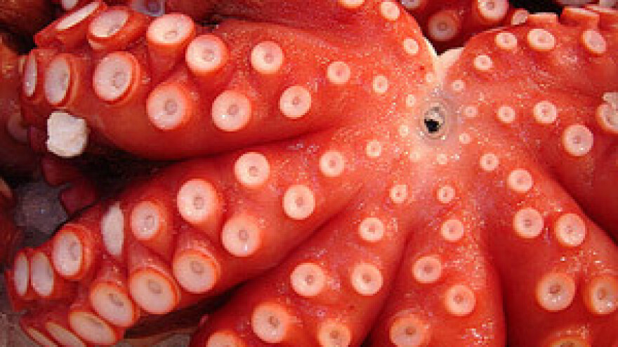 Održan sajam otočnih proizvoda