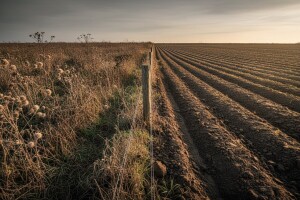 Hoće li Agencija za zemljište prigušiti korov?