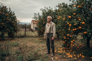 Hoće li Hogan disciplinirati Jakovinu?