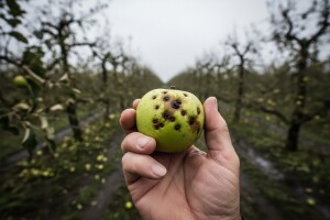 Hoće li i danas u okolici Zagreba biti tuče?