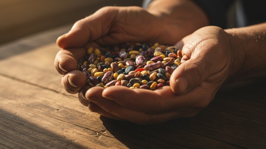 Hoće li nam EU prodavati vlastito naslijeđe?