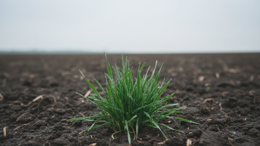 Hoće li nam se osvetiti proljeće u siječnju?