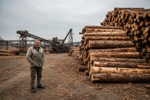 Hoćemo li sačuvati hrvatsko drvo?