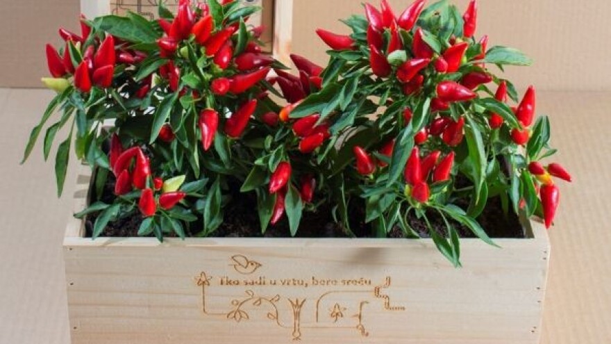 Idealan poklon za pravog vrtlara!