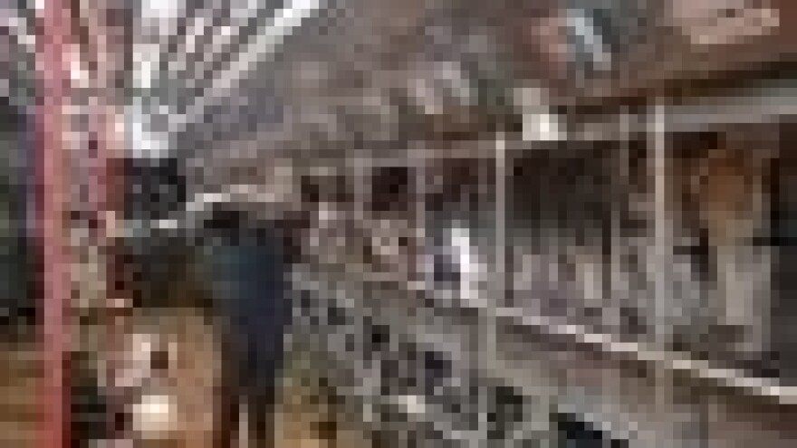 IPK Kandit izlazi iz vlasništva Holsteina