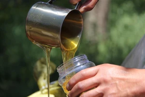 140 godina Udruge Pčela: Ne treba se bojati uvoza uz visoku kvalitetu domaćeg meda