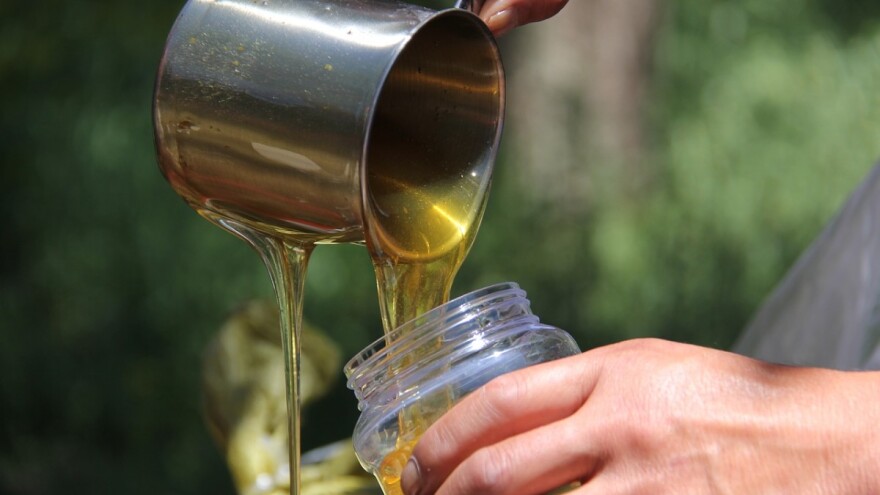 140 godina Udruge Pčela: Ne treba se bojati uvoza uz visoku kvalitetu domaćeg meda