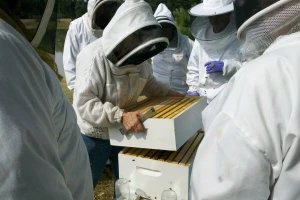 Dodijeljena oprema za uzgoj pčela u opštini Rudo