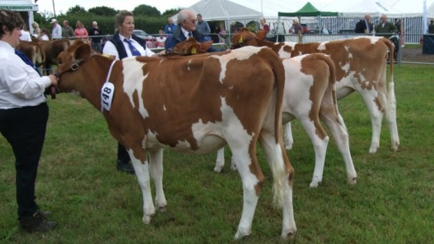 Poljoprivredni sajam Honiton u Velikoj Britaniji