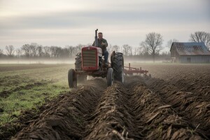 Horoskop - Ribe (20.02. - 20.03.)