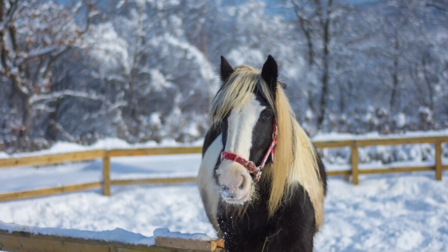Dosta vam je snijega? Do kraja sedmice bit će ga još
